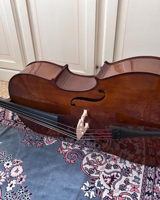 Violoncello Domus - Allievo 1