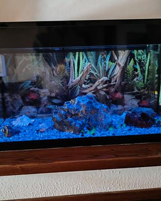 ACQUARIO ASKOLL PURE XL LED 94 litri