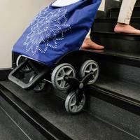 Carrello Portaspesa Saliscale GIMI