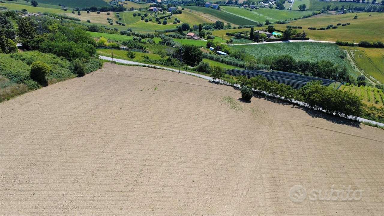 Terreno Agricolo a Montegranaro - Vista 2