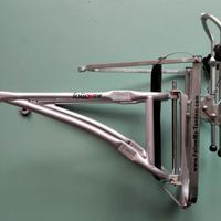 Followme tandem - traino per bici bambini