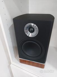 Tannoy platinum B6