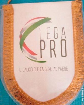 Gagliardetto Calcio Lega Pro serie C nuovo