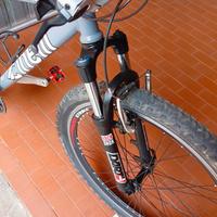 Bicicletta mountbike