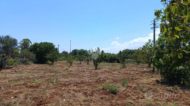 TER. AGRICOLO A POLIGNANO A MARE