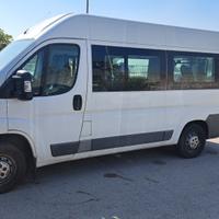 Peugeot boxer trasporto disabili