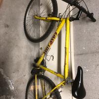 bicicletta