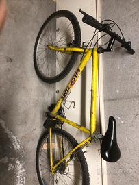 bicicletta