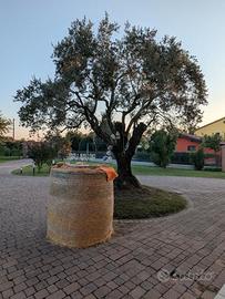 Mini palle di paglia/fieno