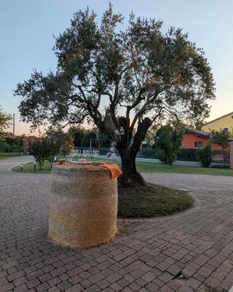 Mini palle di paglia/fieno