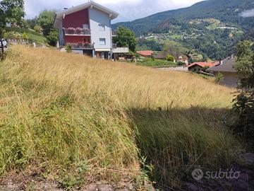 Sant'Orsola terme (Tn): Terreno edificabile 706 mq