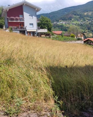 Sant'Orsola terme (Tn): Terreno edificabile 706 mq