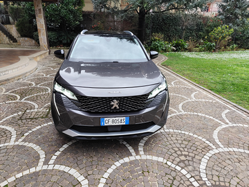 Peugeot 3008 1.5 Blue HDi 130CV Van Autocarro