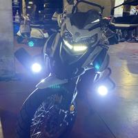 Trk 502 X 2022