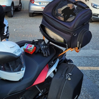 Bauletto moto per animali e cose