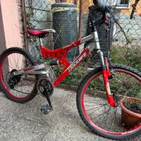 Bicicletta ragazzo