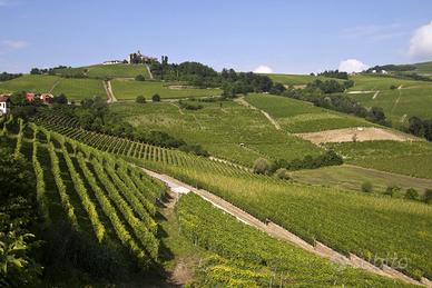Vigneti ALTA Langa