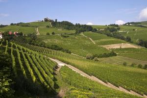 Vigneti ALTA Langa