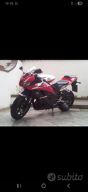 Honda cbr 600rr