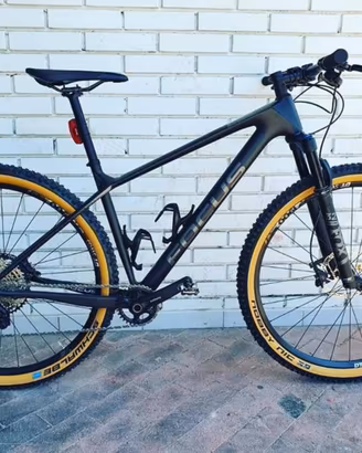 MTB focus raven 8.7