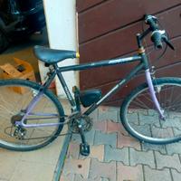 Bicicletta