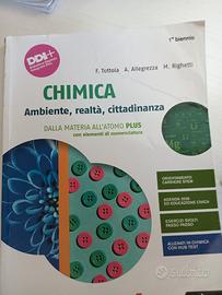 Chimica,ambiente,realtà, cittadinanza 