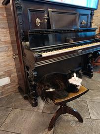 pianoforte Brizzi Nicolai
