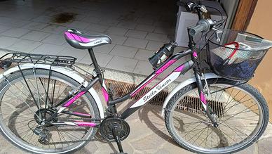 Bici stella veneta