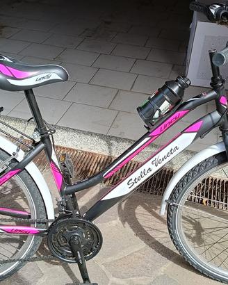 Bici stella veneta