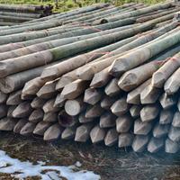 Pali in legno
