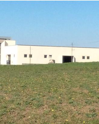 Capannone industriale