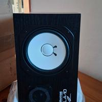 coppia monitor studio Avantone CLA 10 nuovi