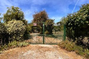 Terreno piantumato fronte strada