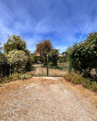 Terreno piantumato fronte strada