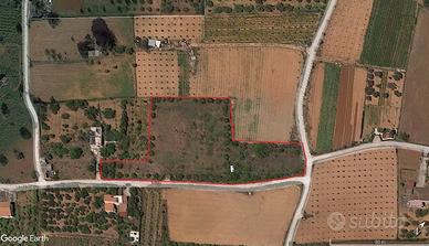 Terreno agricolo a Partinico, Contrada Milioto