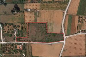 Terreno agricolo a Partinico, Contrada Milioto