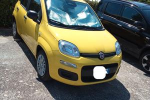 FIAT Panda 3ª serie - 2025