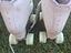 Immagine 2