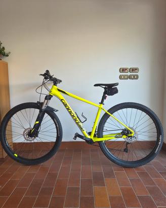 Bici Cannondale Trail