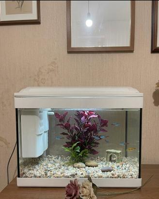 Acquario Piccolo Completo con Filtro