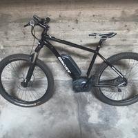 Bicicletta elettrica