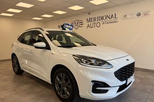 Ford Kuga 1.5 EcoBlue 120 CV 2WD ST-Line