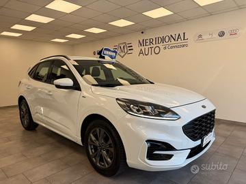Ford Kuga 1.5 EcoBlue 120 CV 2WD ST-Line