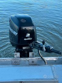 Mercury optimax 90 / 115 guida a barra