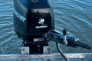 Mercury optimax 90 / 115 guida a barra