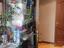 Immagine 12