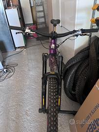 Heckler sl con ohlins rxf e ammo floatx2 ~bat 480