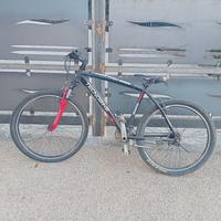 bicicletta teknobike 