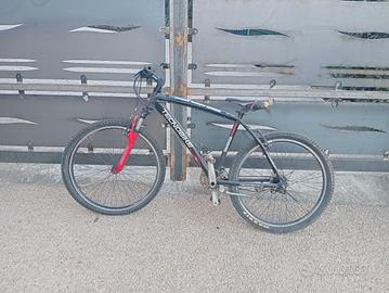 bicicletta teknobike 