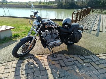 Moto Harley Davidson 883 del 2008